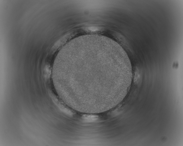 X0000110760476200907061059