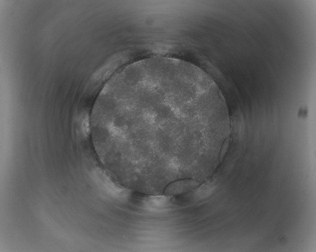 X0000110760479200907061059
