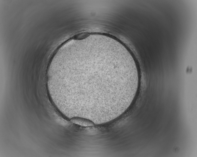 X0000110760481200907061059