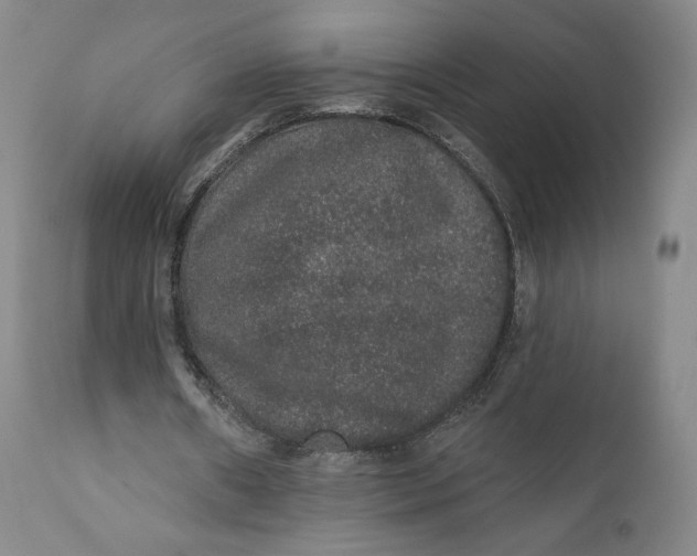 X0000110760482200907061059