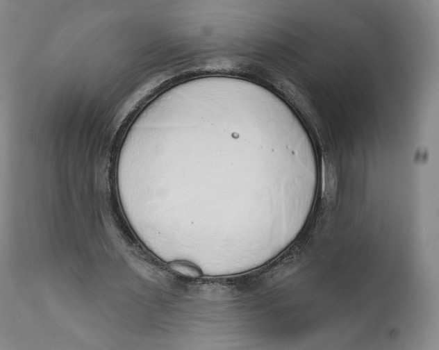 X0000110760483200907061059