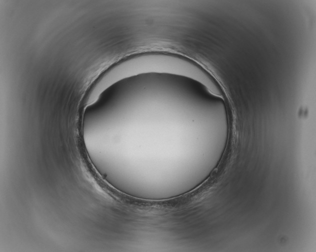 X0000110760485200907061059