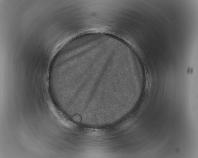 X0000110760486200907061059
