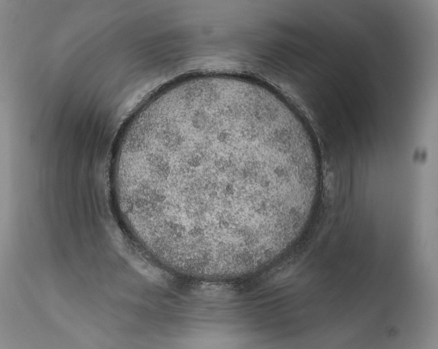 X0000110760487200907061059