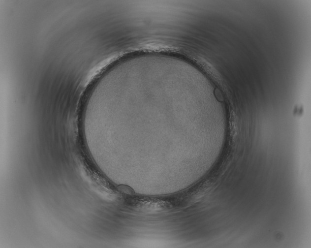 X0000110760488200907061059