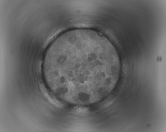 X0000110760491200907061058