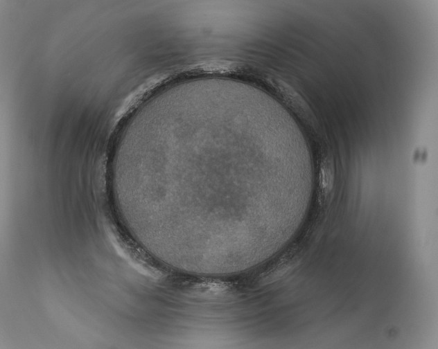 X0000110760492200907061058