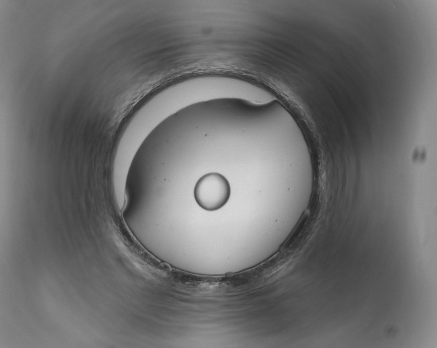 X0000110760493200907061058