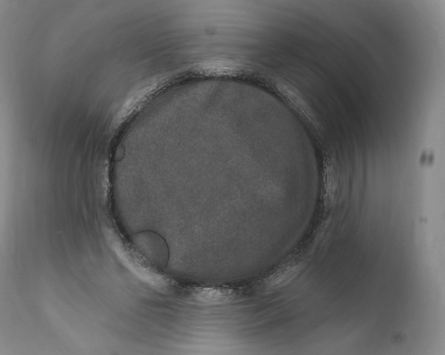 X0000110760494200907061058