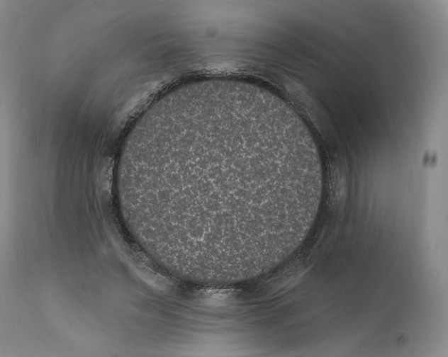 X0000110760495200907061058