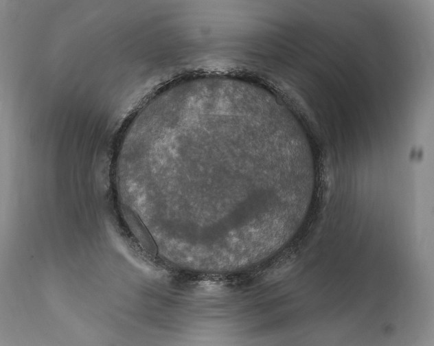 X0000110760496200907061058