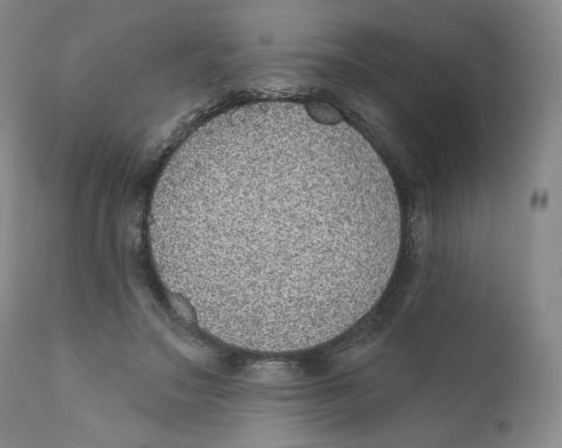 X0000110760499200907061058