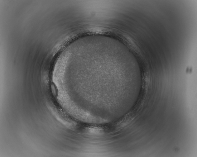 X0000110760500200907061058