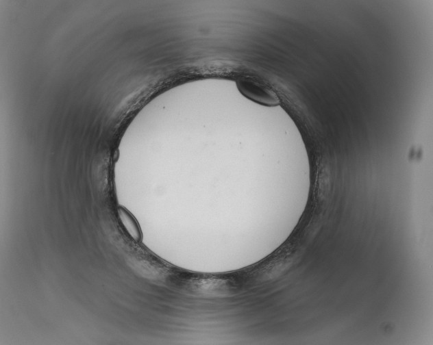 X0000110760501200907061058