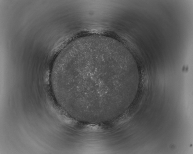 X0000110760502200907061058