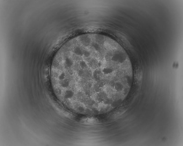 X0000110760503200907061058
