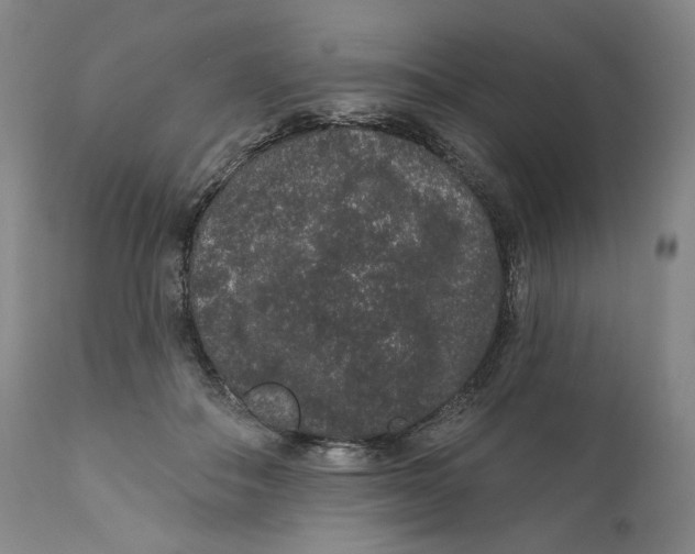 X0000110760506200907061058