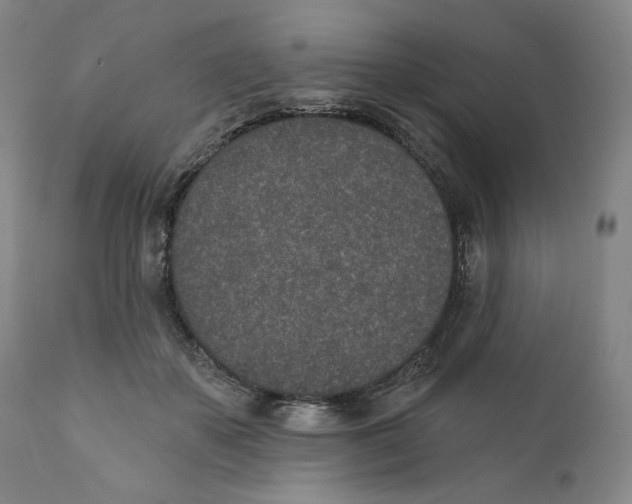 X0000110760507200907061058