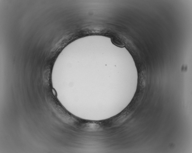 X0000110760509200907061058