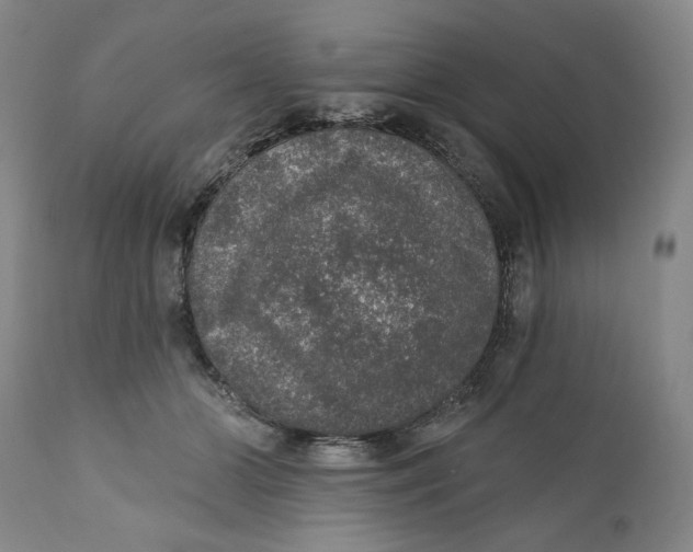 X0000110760510200907061058