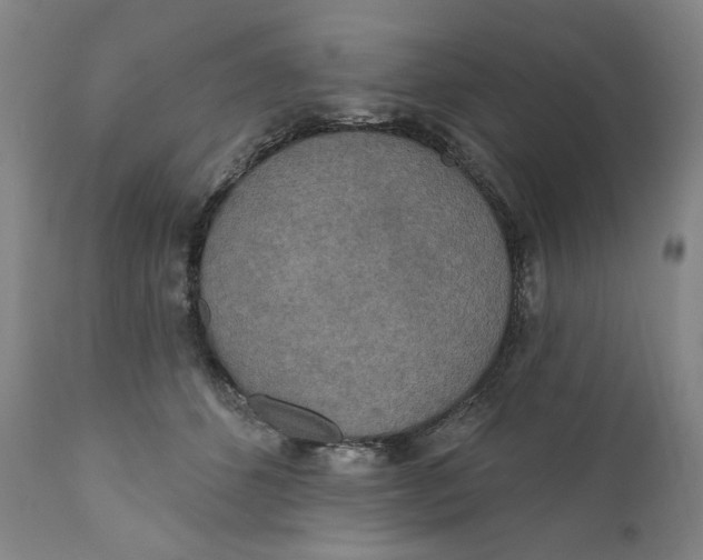 X0000110760512200907061058