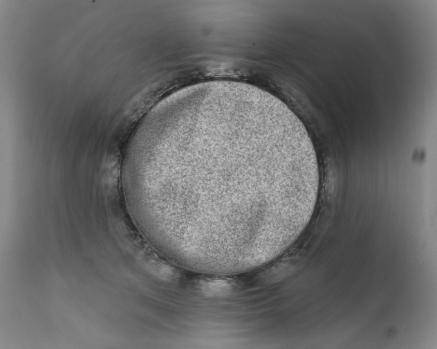 X0000110760513200907061058