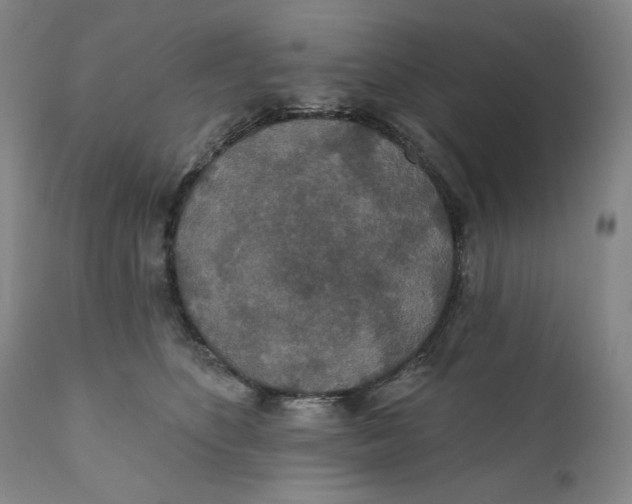 X0000110760516200907061058