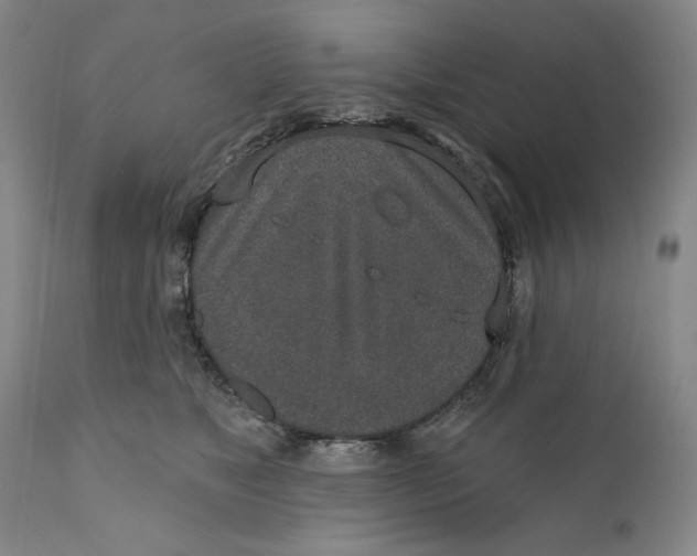 X0000110760517200907061058