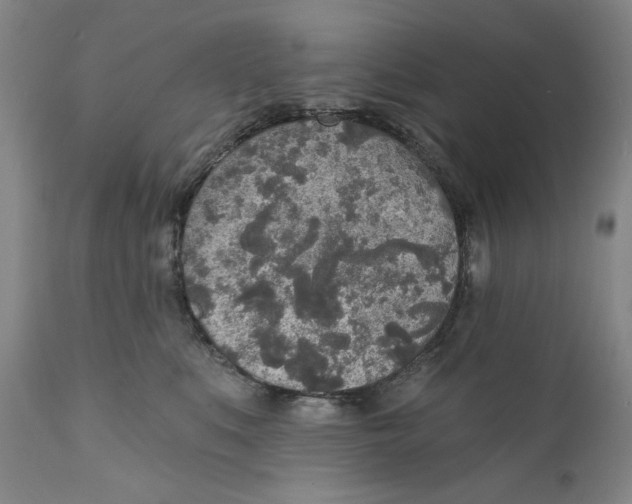 X0000110760519200907061058