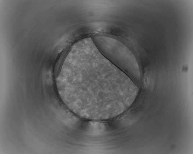 X0000110760520200907061058