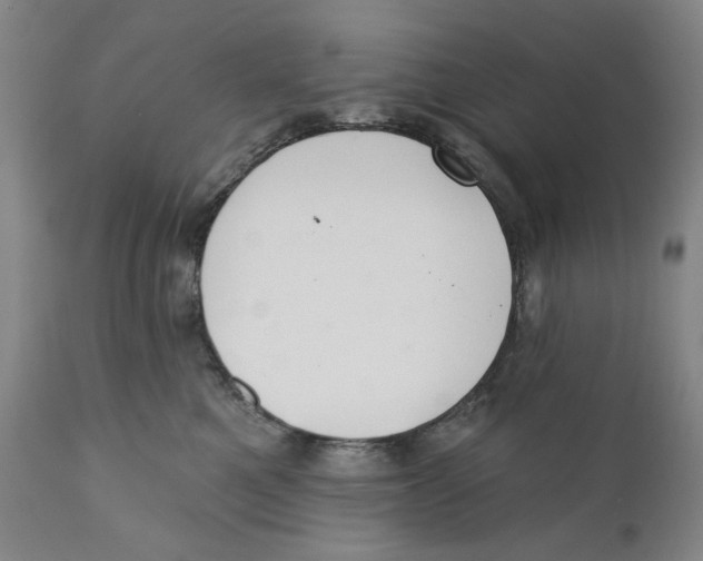 X0000110760521200907061058