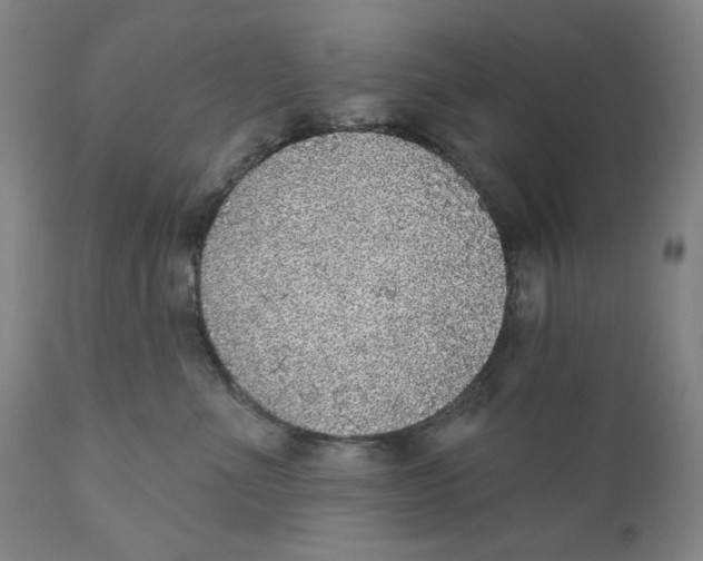 X0000110760523200907061058