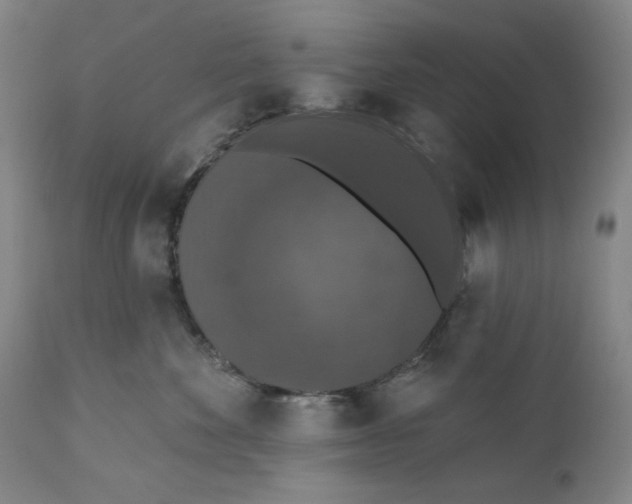 X0000110760524200907061058