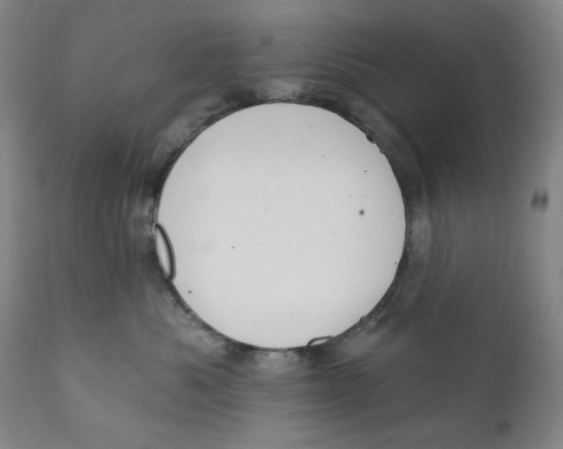 X0000110760525200907061058