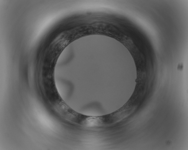 X0000110760526200907061058