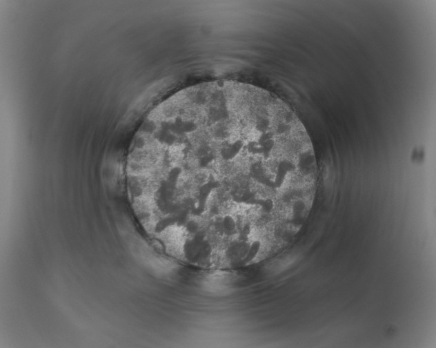 X0000110760527200907061058