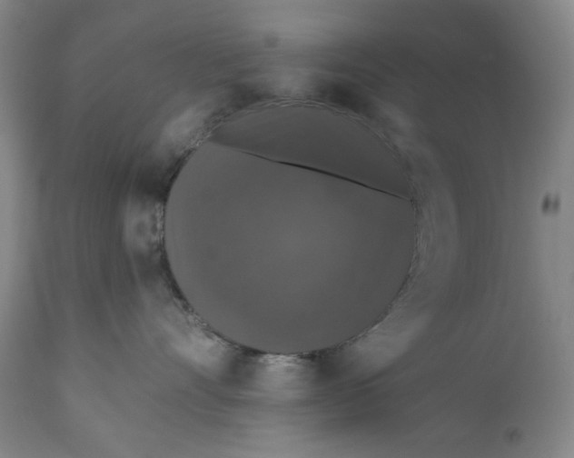 X0000110760528200907061058