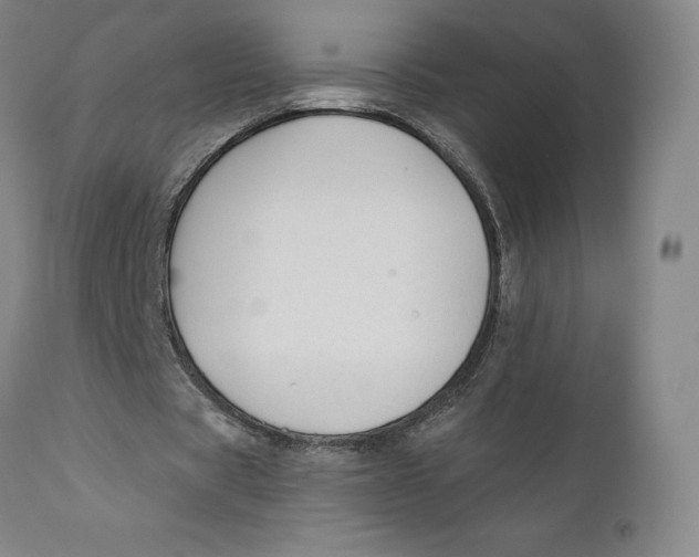 X0000110760529200907061057