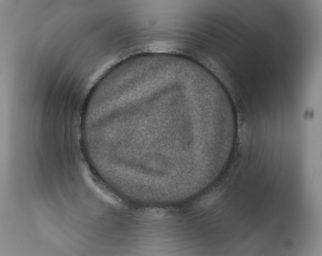 X0000110760530200907061057