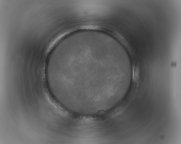 X0000110760531200907061057