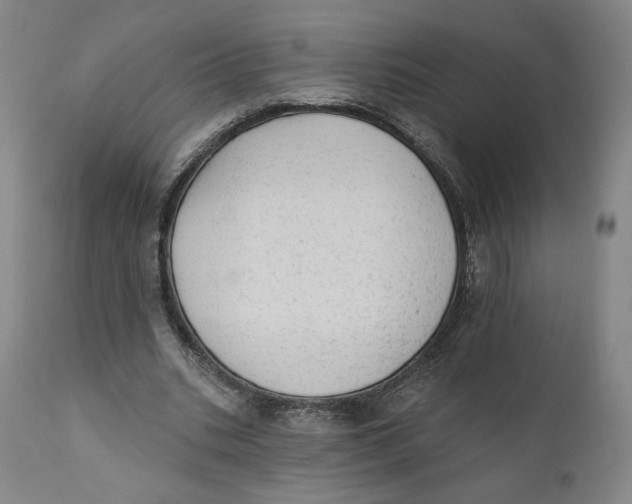X0000110760535200907061057