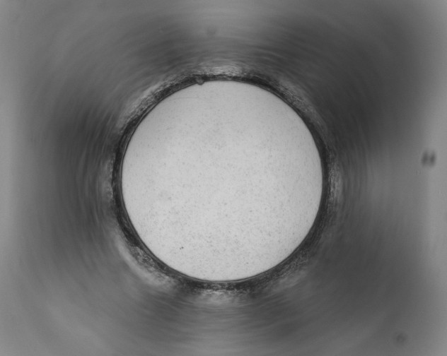 X0000110760538200907061057