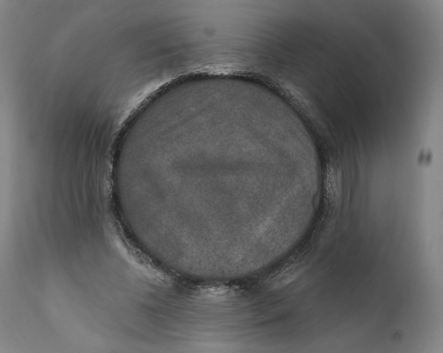 X0000110760540200907061057