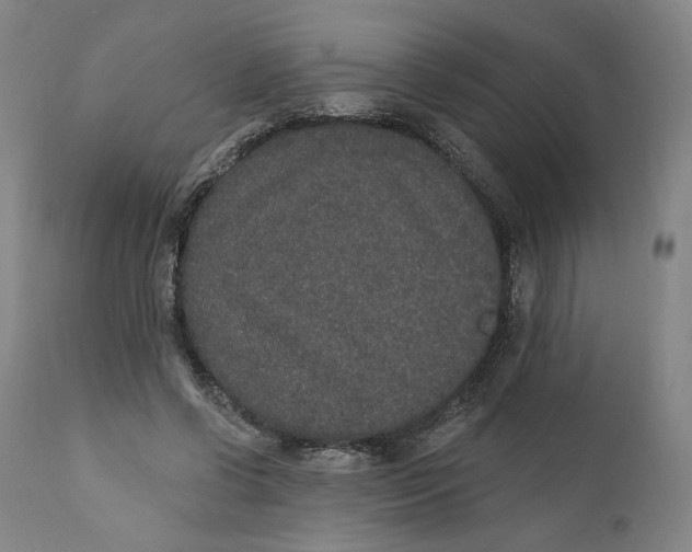 X0000110760542200907061057