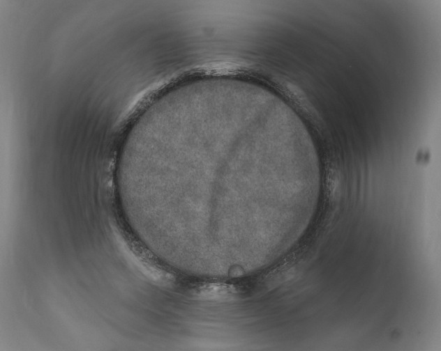 X0000110760543200907061057