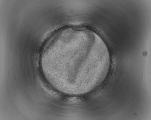 X0000110760544200907061057