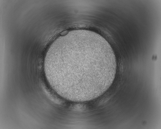 X0000110760546200907061057