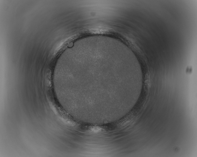X0000110760547200907061057