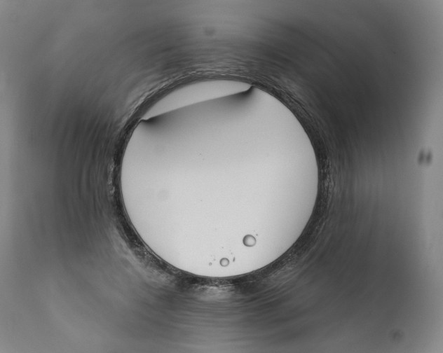 X0000110760548200907061057