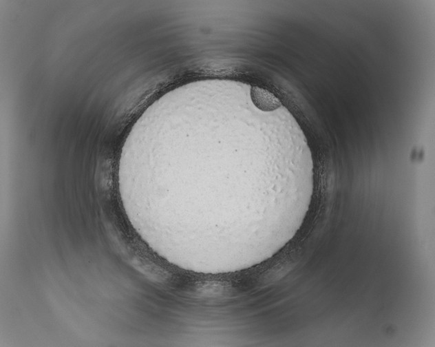 X0000110760549200907061057